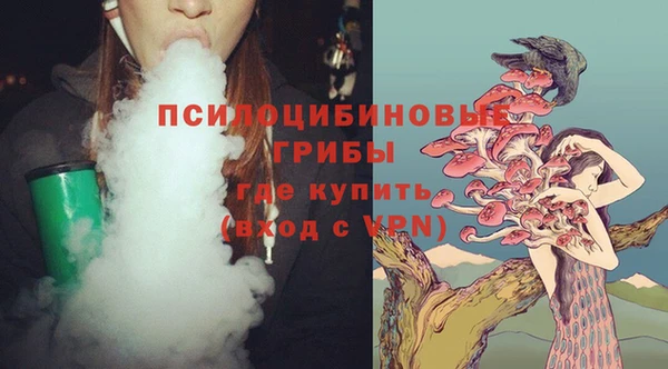 марихуана Заводоуковск