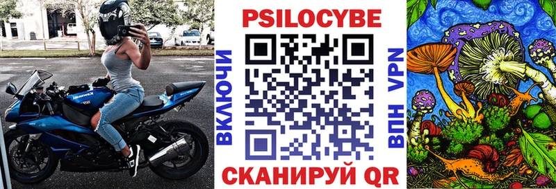 Купить закладки  Петров Вал  Галлюциногенные грибы Psilocybine cubensis 